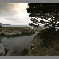 Point Lobos